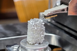 New FusionScope Application Note Available on Bone Collagen New FusionScope Application Note Available on Bone Collagen