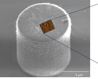 AFSEM image of silicon micro-pillar surface obtained in non-contact mode. (Figure 1) Correlative SEM/AFM image of the micro-pillar surface. 