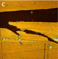 GETec Correlative AFM imaging of a scratched gold surface